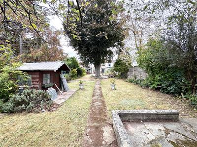 Picture 25